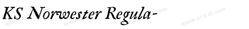 KS Norwester Regula字体转换